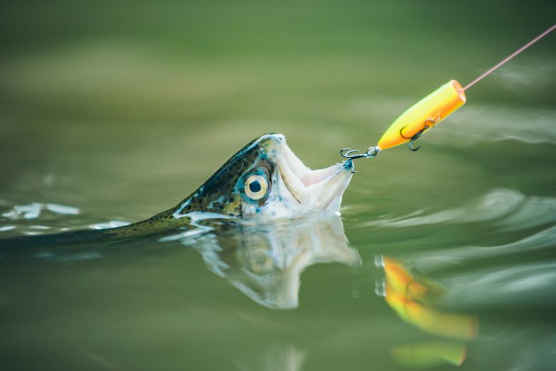 How to Reel a Fish that’s Putting Up a Fight